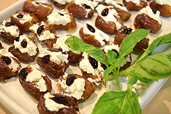 KNOLL CATWALK FASHION SHOW